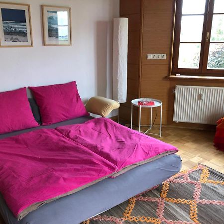 Ferienwohnung Am Donauradwanderweg Riedlingen Eksteriør bilde