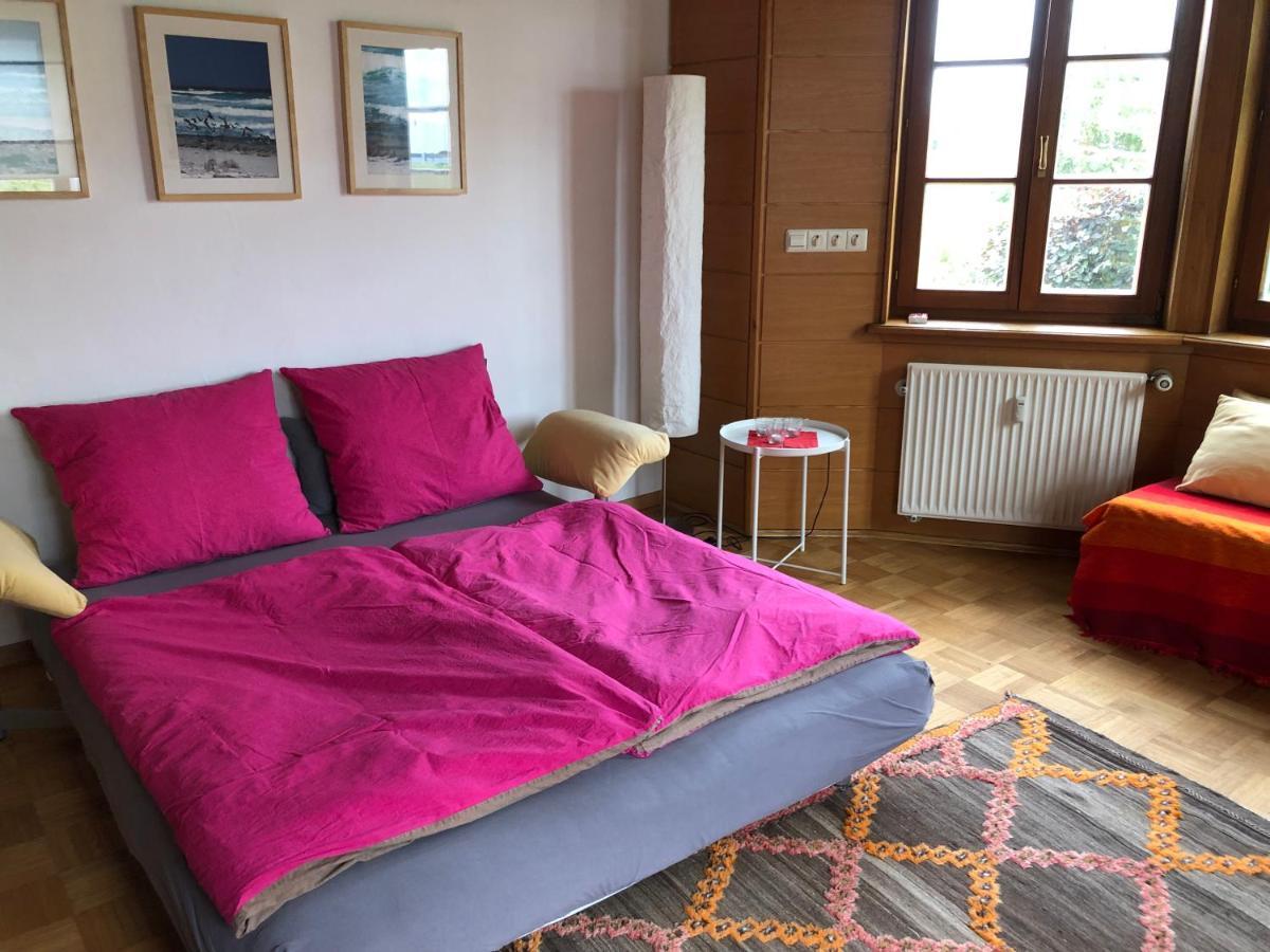 Ferienwohnung Am Donauradwanderweg Riedlingen Eksteriør bilde